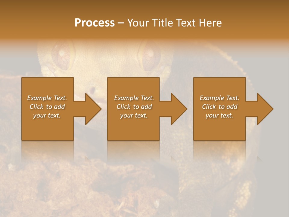 Crested Gecko PowerPoint Template