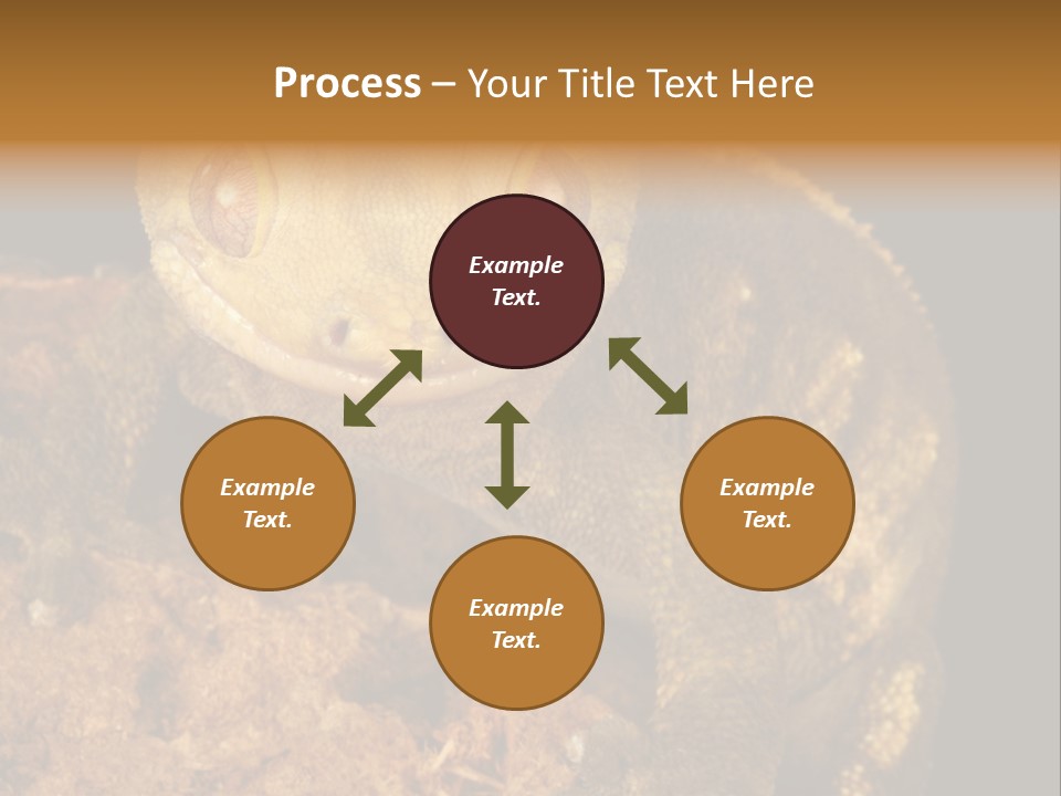 Crested Gecko PowerPoint Template