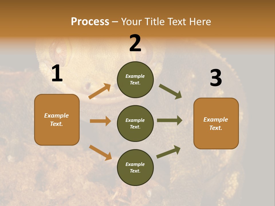 Crested Gecko PowerPoint Template