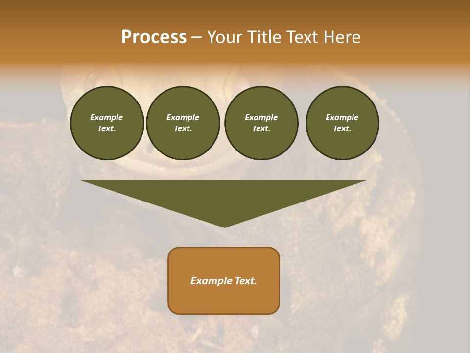 Crested Gecko PowerPoint Template