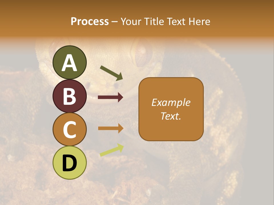 Crested Gecko PowerPoint Template