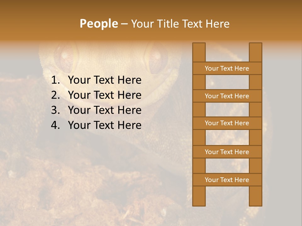 Crested Gecko PowerPoint Template