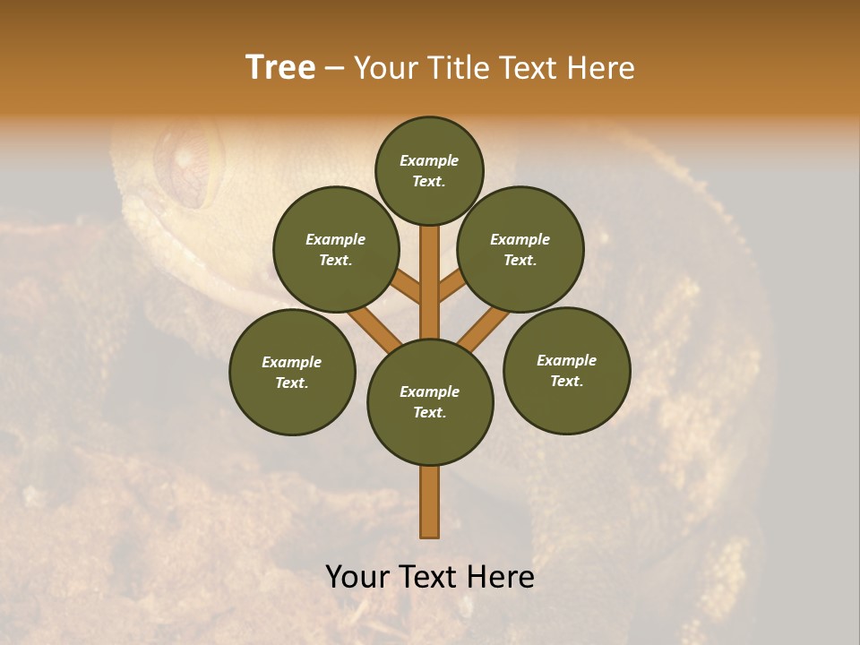 Crested Gecko PowerPoint Template