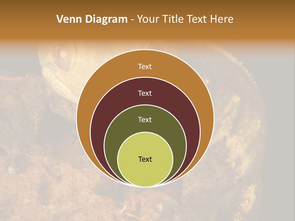 Crested Gecko PowerPoint Template