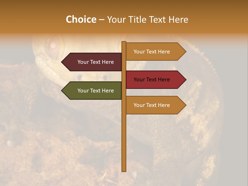 Crested Gecko PowerPoint Template