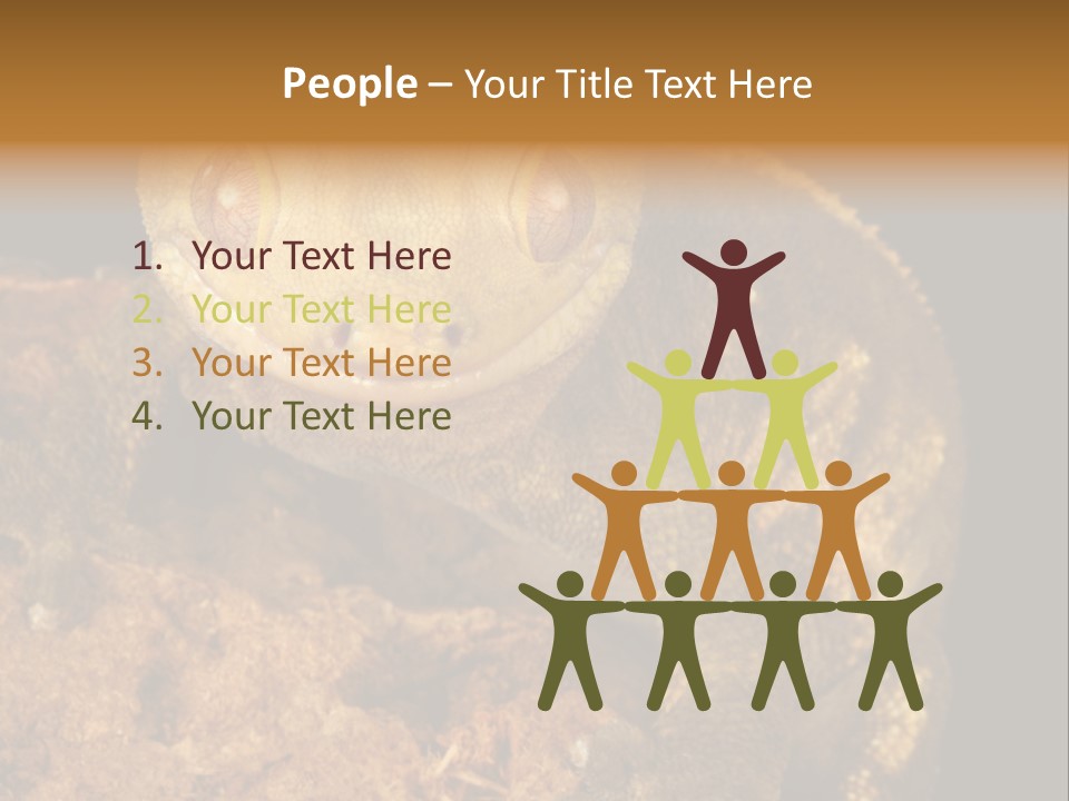 Crested Gecko PowerPoint Template