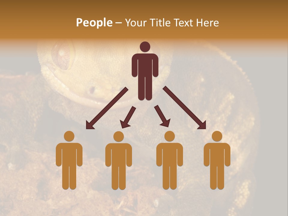 Crested Gecko PowerPoint Template