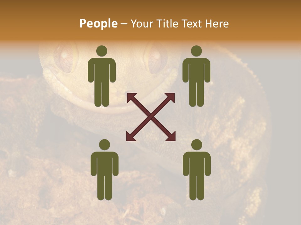 Crested Gecko PowerPoint Template