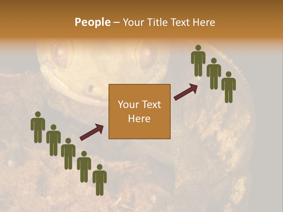 Crested Gecko PowerPoint Template