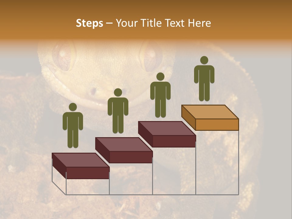 Crested Gecko PowerPoint Template