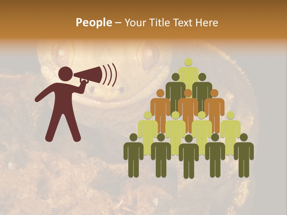 Crested Gecko PowerPoint Template