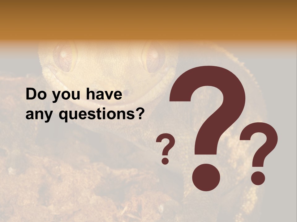 Crested Gecko PowerPoint Template