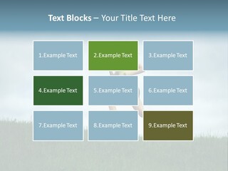 A Woman Running In A Field Of Grass PowerPoint Template