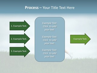 A Woman Running In A Field Of Grass PowerPoint Template