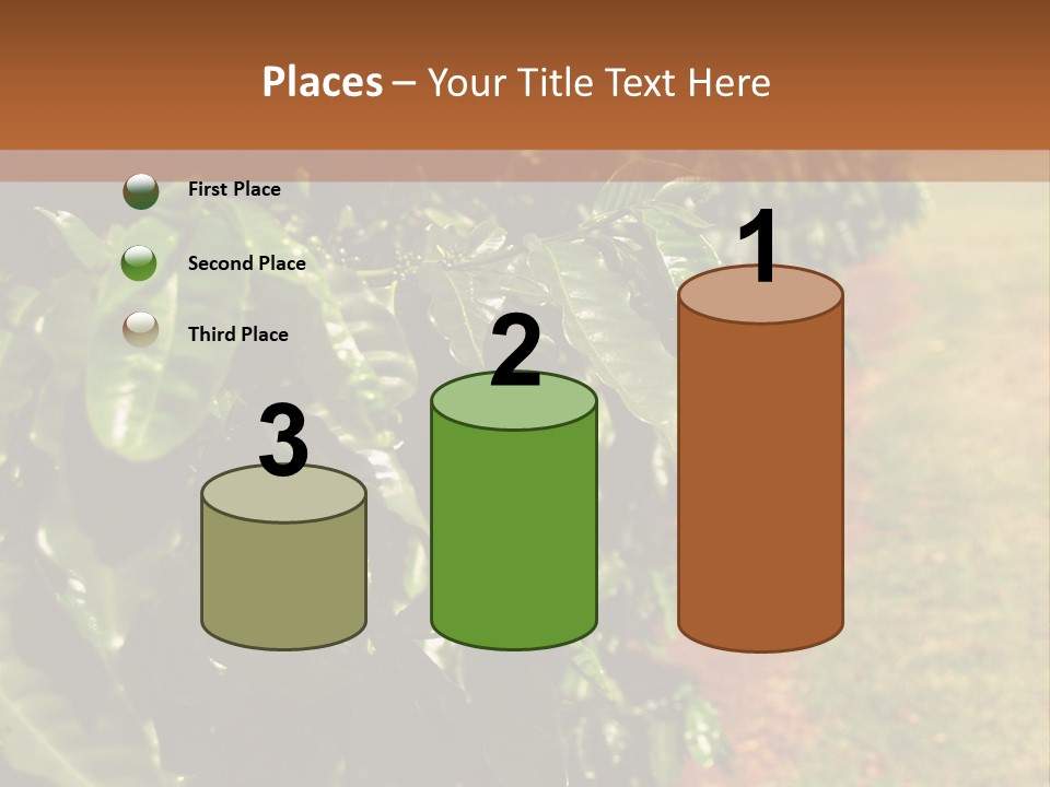 Coffee Plants, Hawaii PowerPoint Template