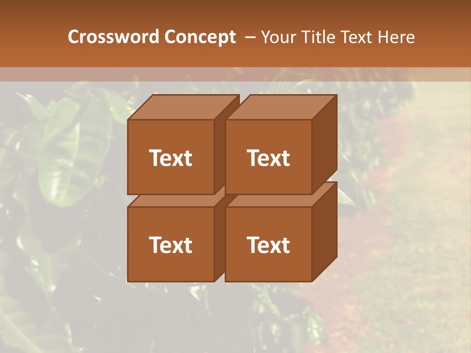 Coffee Plants, Hawaii PowerPoint Template