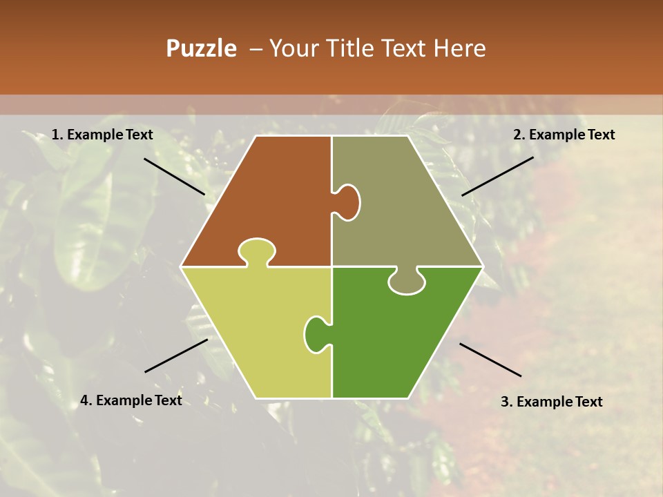 Coffee Plants, Hawaii PowerPoint Template