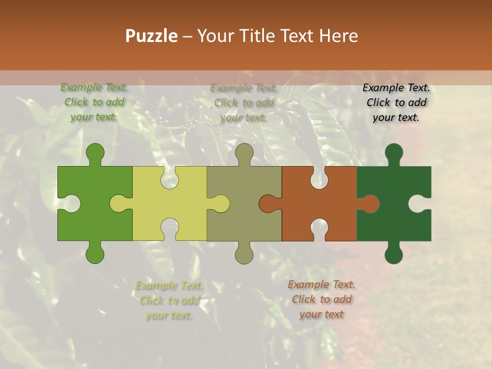 Coffee Plants, Hawaii PowerPoint Template