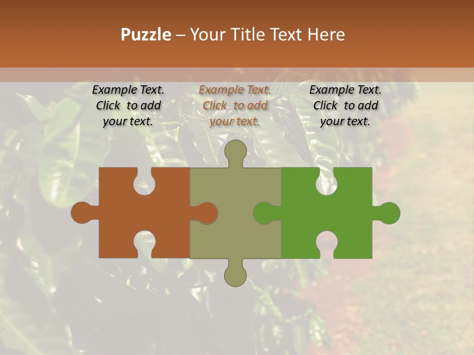 Coffee Plants, Hawaii PowerPoint Template