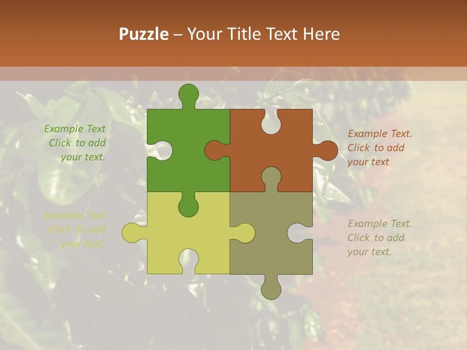 Coffee Plants, Hawaii PowerPoint Template