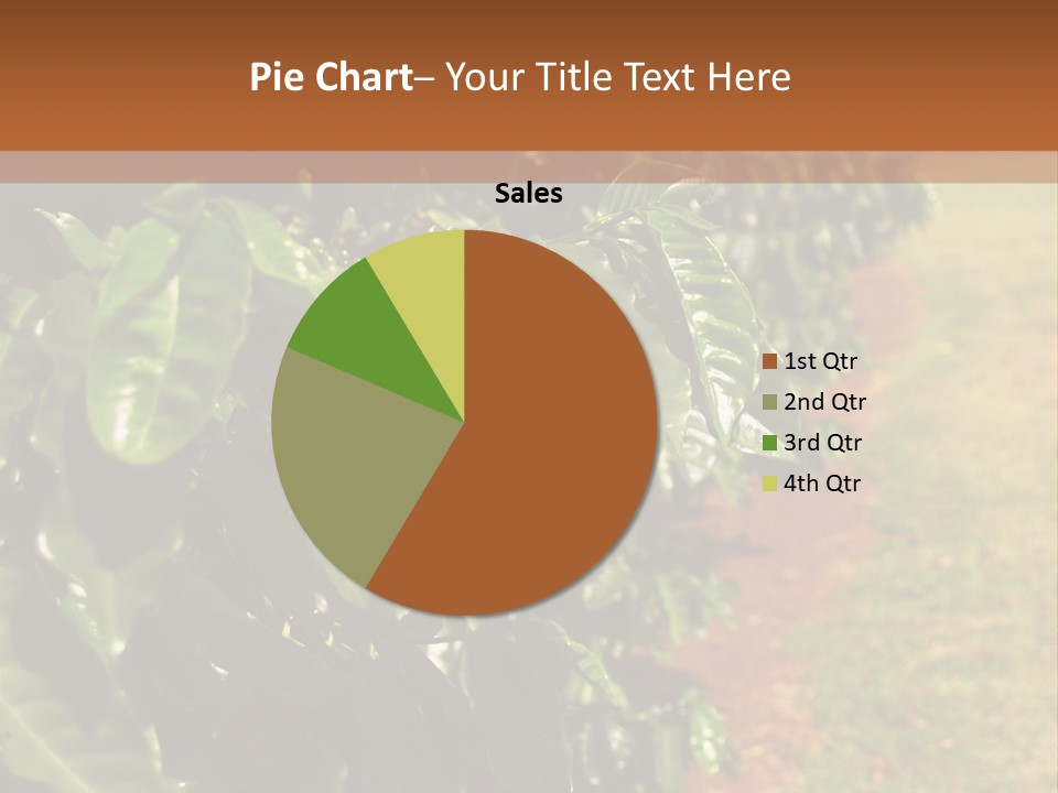 Coffee Plants, Hawaii PowerPoint Template