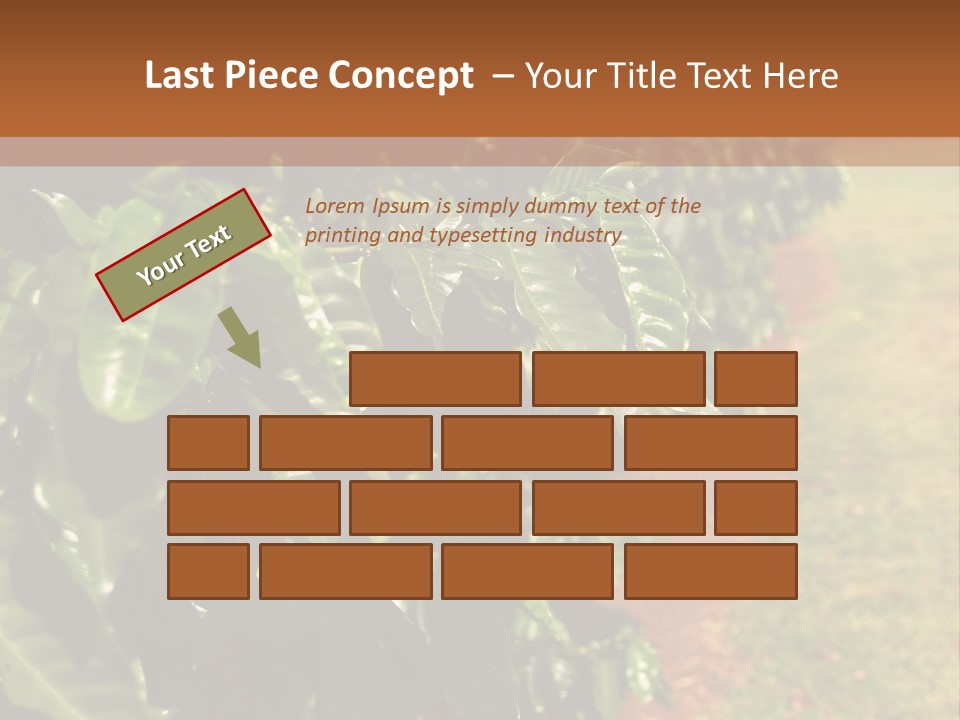 Coffee Plants, Hawaii PowerPoint Template