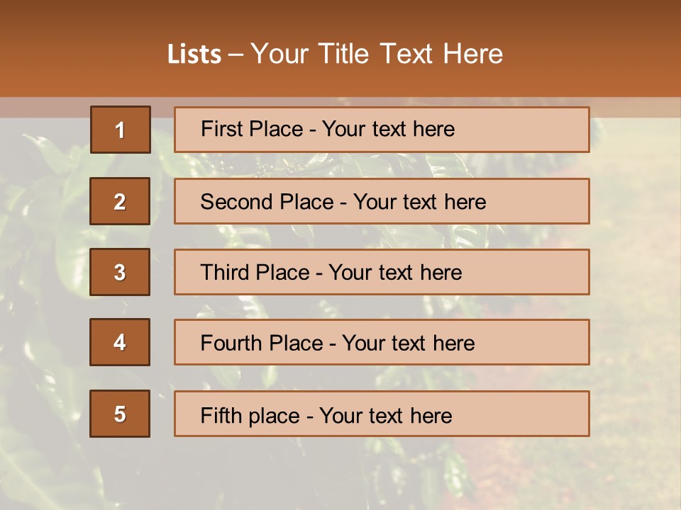 Coffee Plants, Hawaii PowerPoint Template