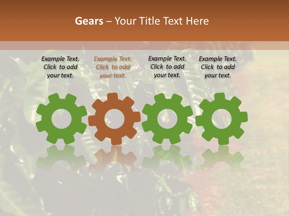 Coffee Plants, Hawaii PowerPoint Template