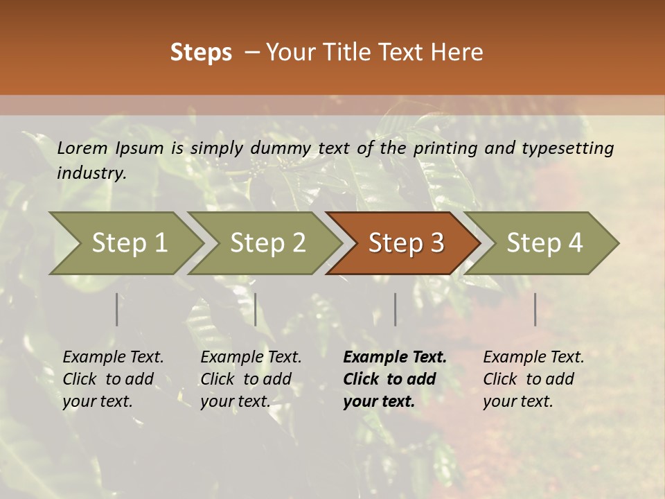 Coffee Plants, Hawaii PowerPoint Template