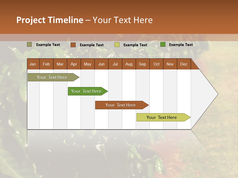 Coffee Plants, Hawaii PowerPoint Template