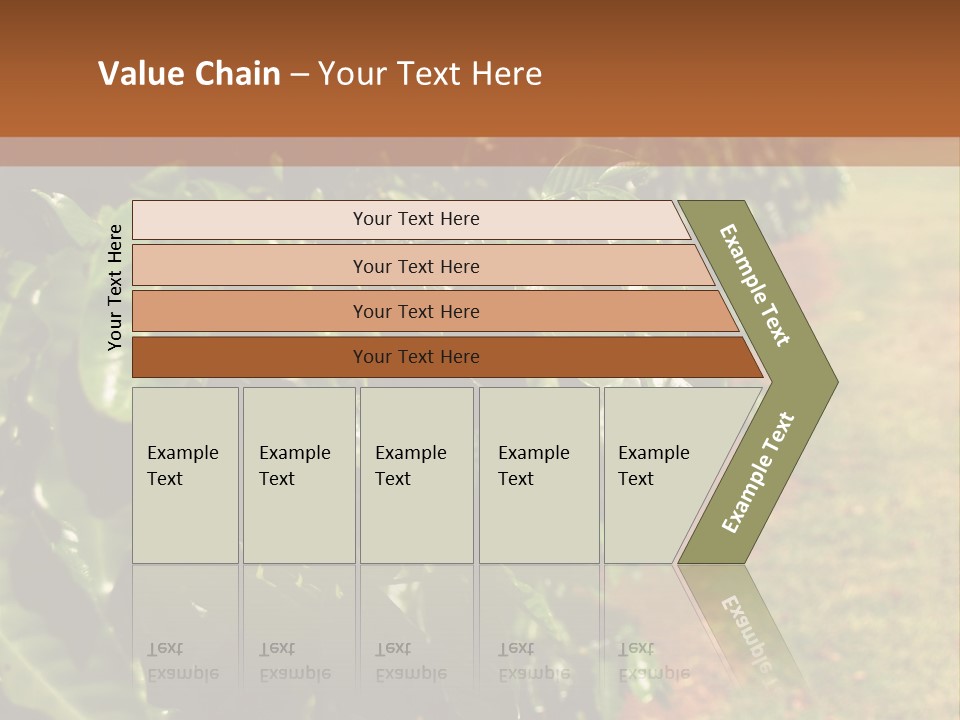 Coffee Plants, Hawaii PowerPoint Template