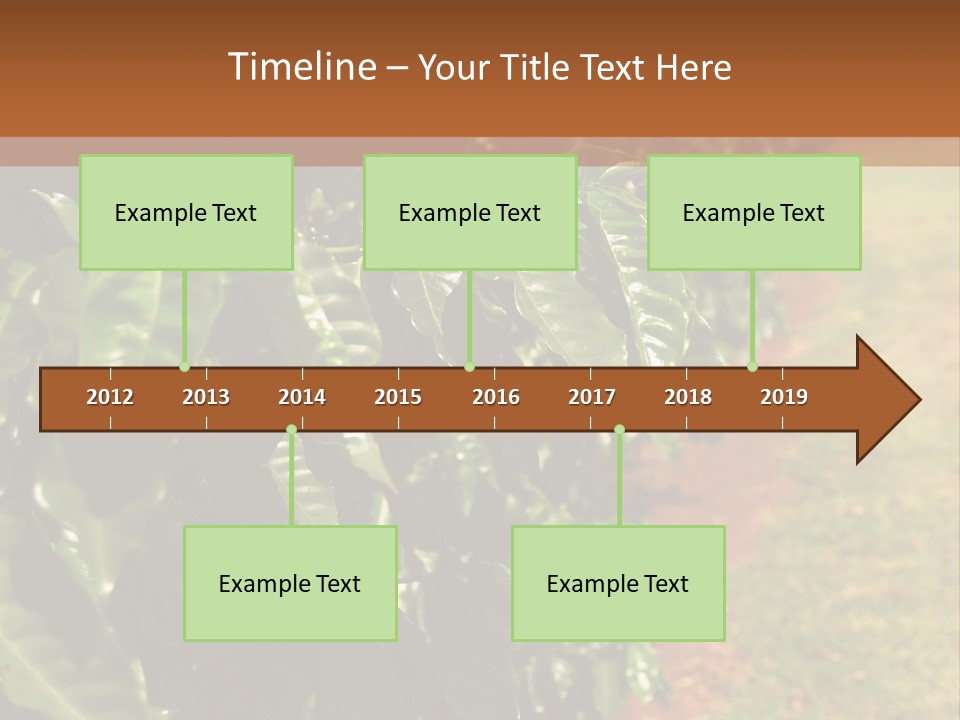 Coffee Plants, Hawaii PowerPoint Template