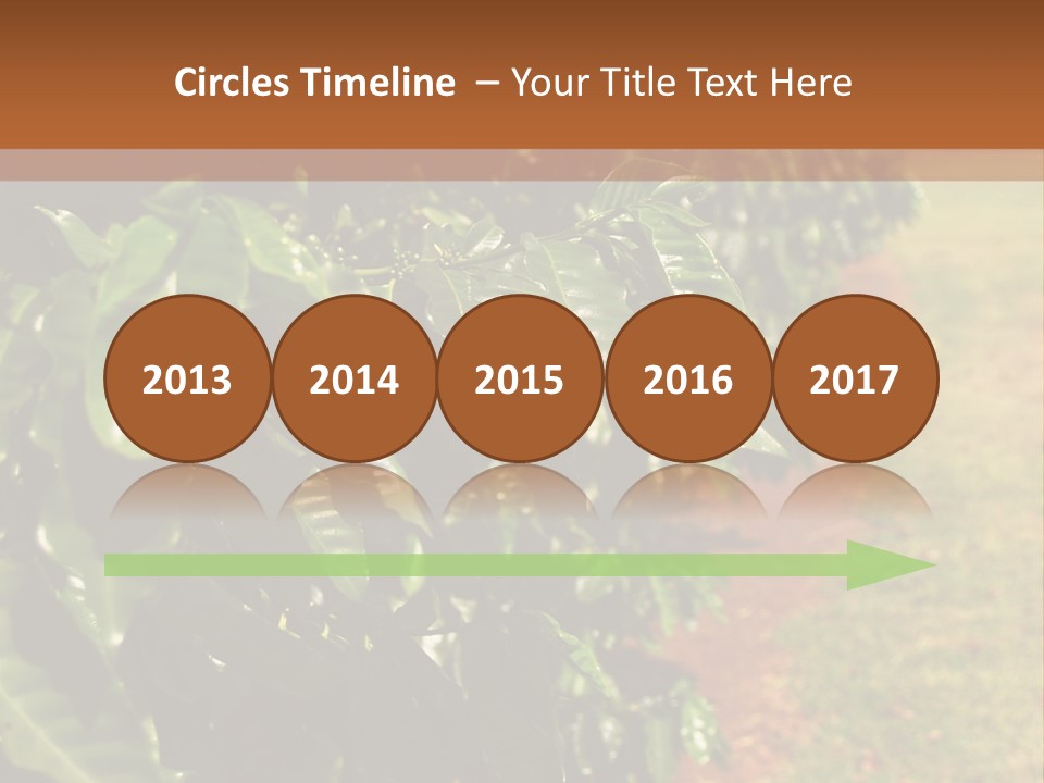 Coffee Plants, Hawaii PowerPoint Template