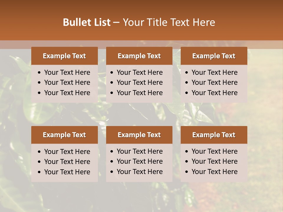 Coffee Plants, Hawaii PowerPoint Template