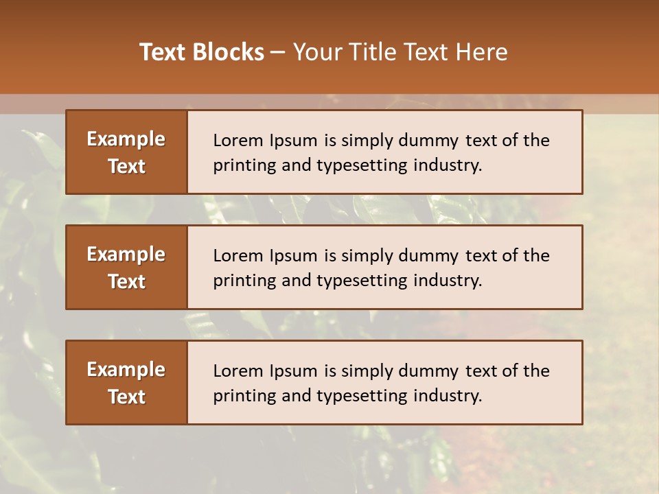 Coffee Plants, Hawaii PowerPoint Template