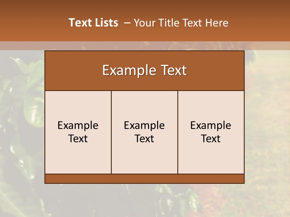 Coffee Plants, Hawaii PowerPoint Template