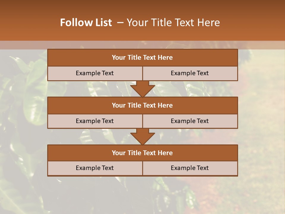 Coffee Plants, Hawaii PowerPoint Template