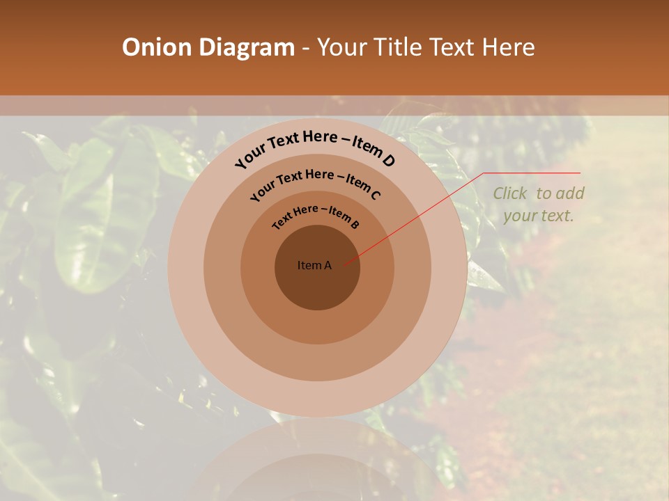 Coffee Plants, Hawaii PowerPoint Template