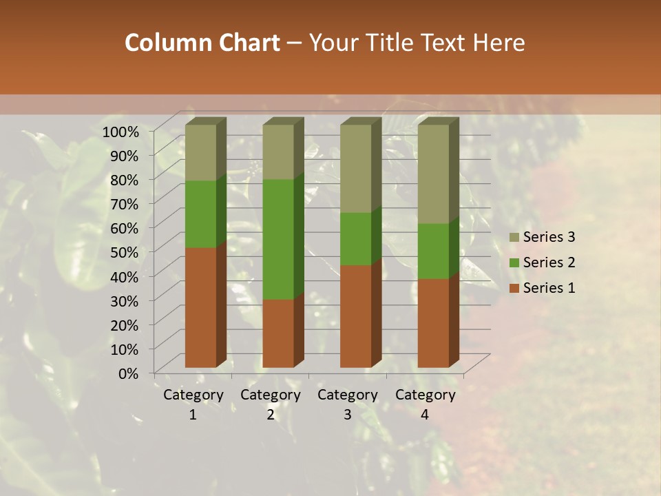 Coffee Plants, Hawaii PowerPoint Template