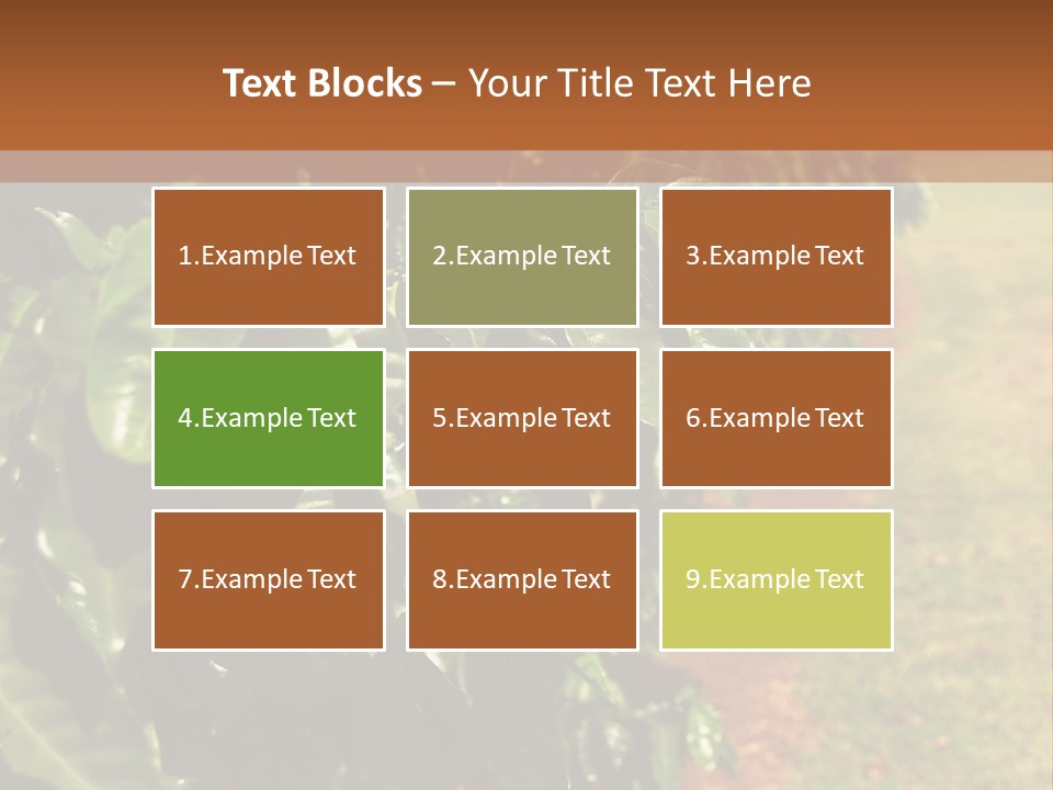 Coffee Plants, Hawaii PowerPoint Template