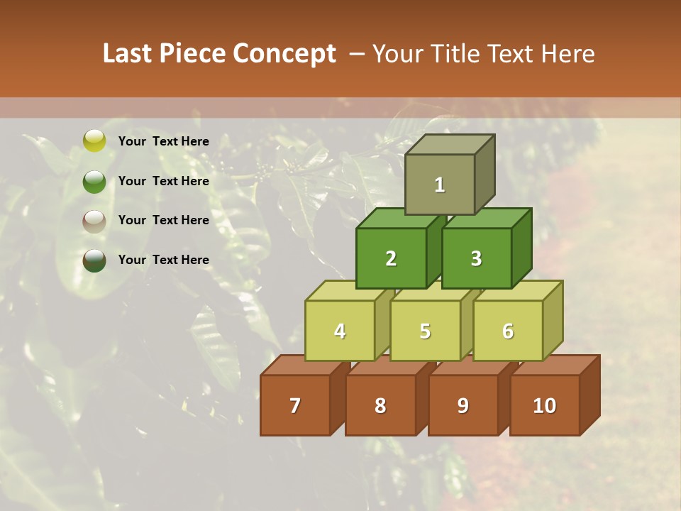 Coffee Plants, Hawaii PowerPoint Template