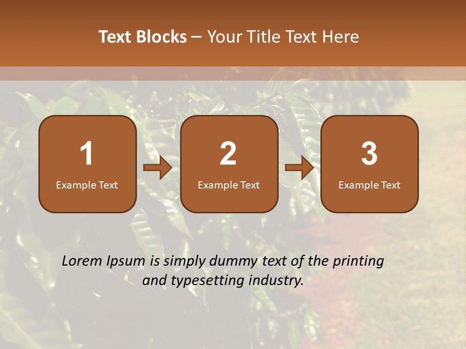 Coffee Plants, Hawaii PowerPoint Template