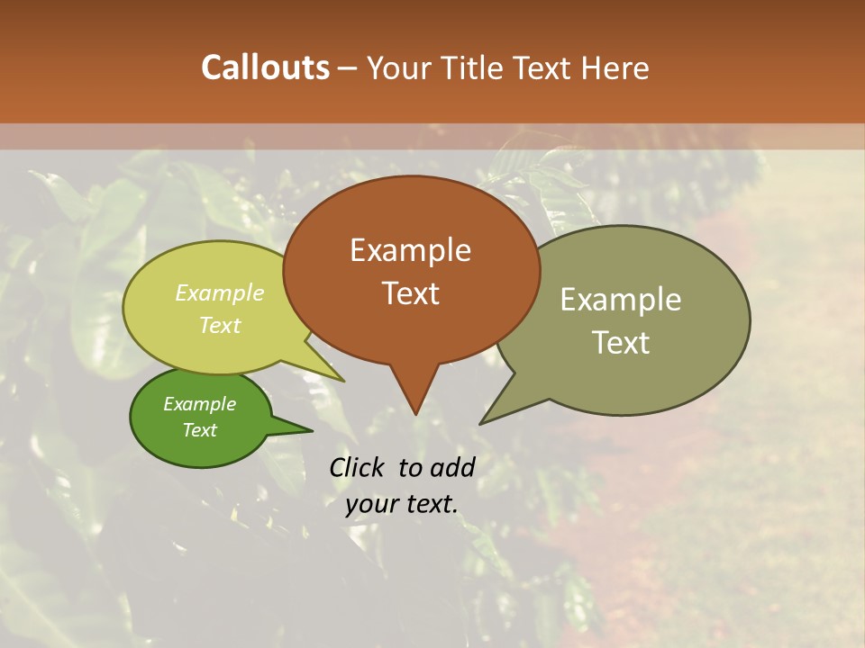 Coffee Plants, Hawaii PowerPoint Template