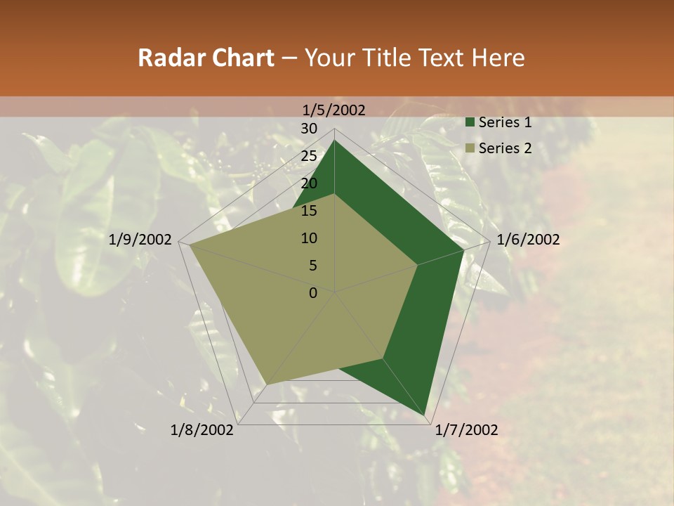Coffee Plants, Hawaii PowerPoint Template