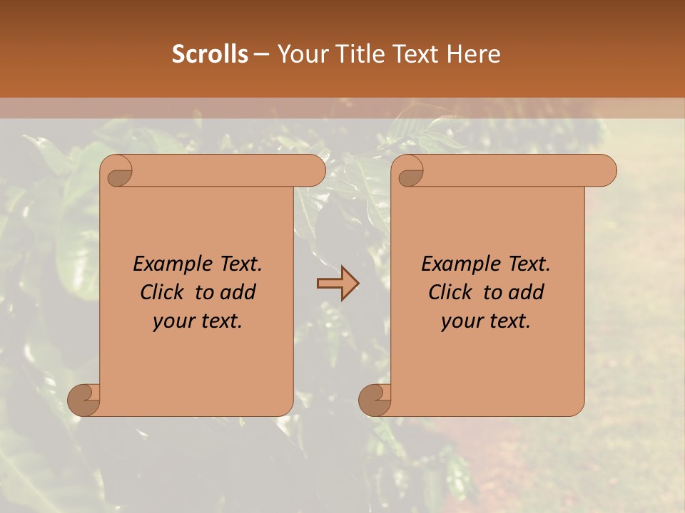 Coffee Plants, Hawaii PowerPoint Template