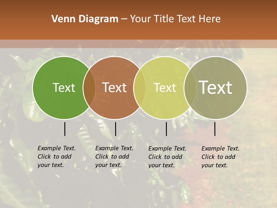 Coffee Plants, Hawaii PowerPoint Template