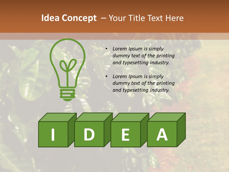 Coffee Plants, Hawaii PowerPoint Template