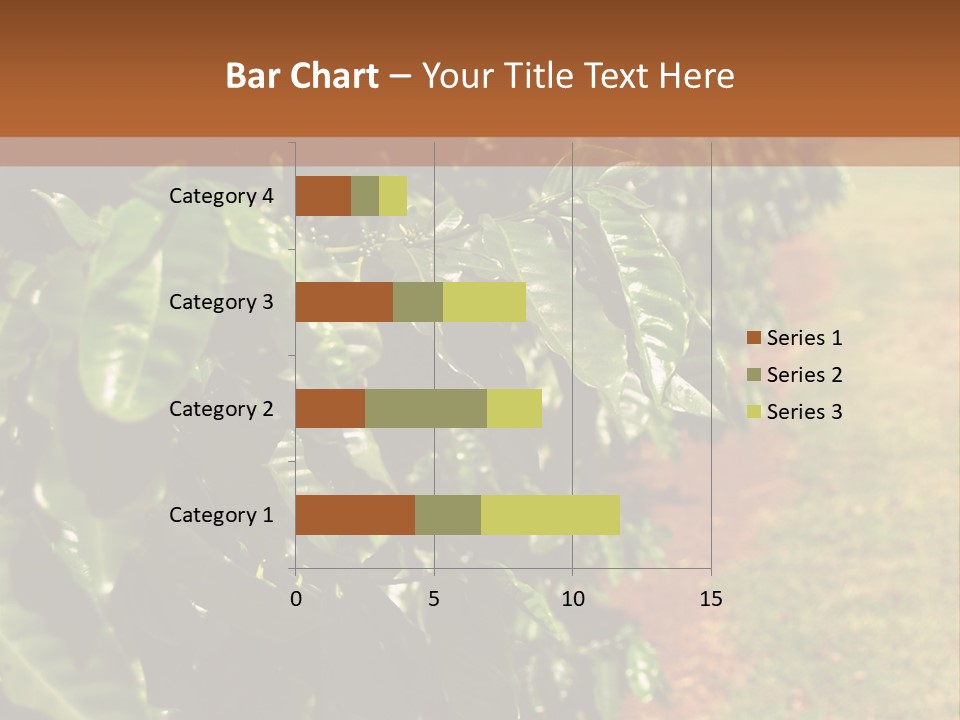 Coffee Plants, Hawaii PowerPoint Template