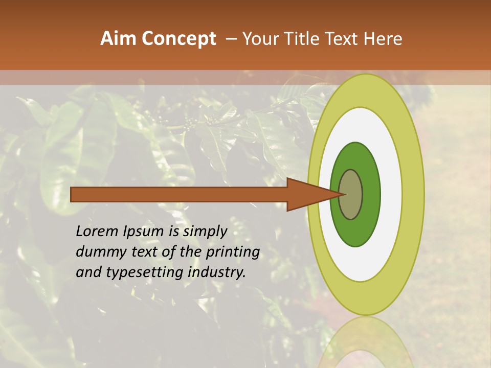 Coffee Plants, Hawaii PowerPoint Template