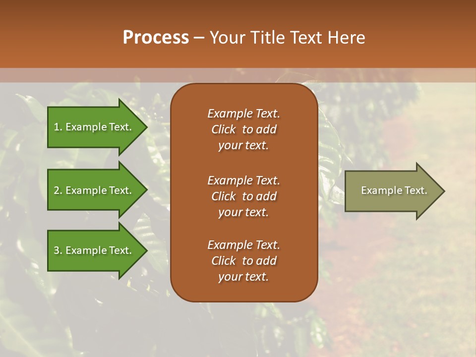 Coffee Plants, Hawaii PowerPoint Template